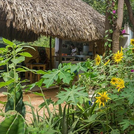 Hostel Hipilandia 塔甘加 外观 照片