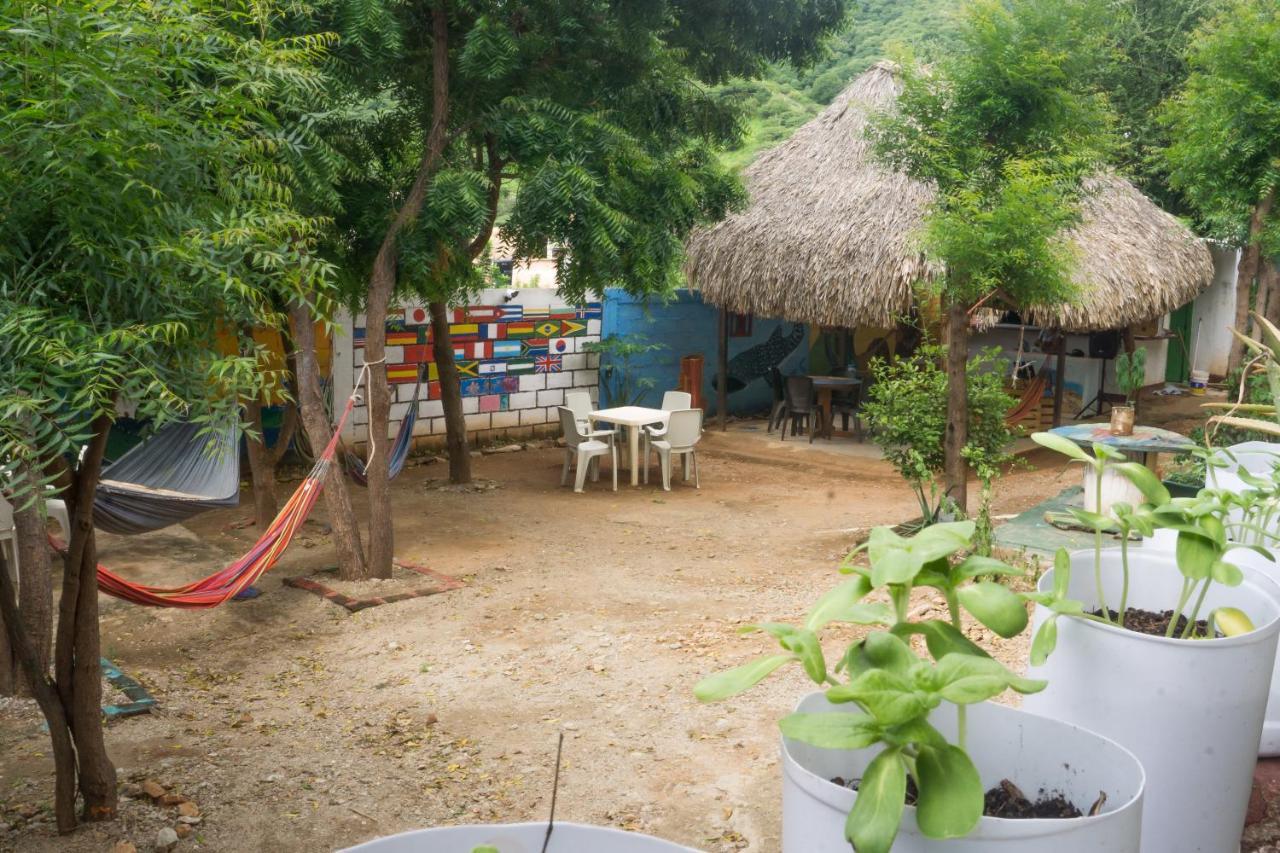 Hostel Hipilandia 塔甘加 外观 照片