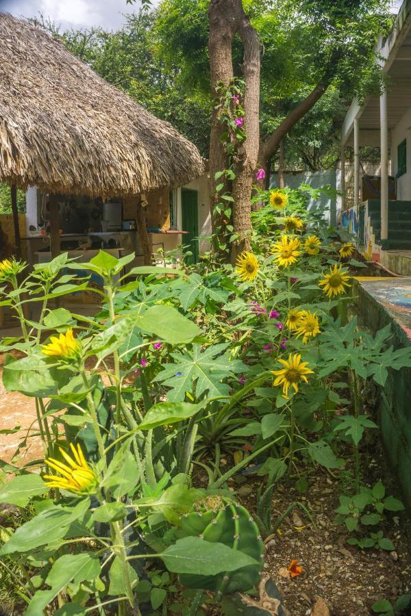 Hostel Hipilandia 塔甘加 外观 照片